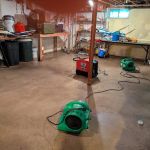 Paul Davis of Chelmsford