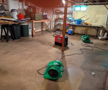 Paul Davis of Chelmsford