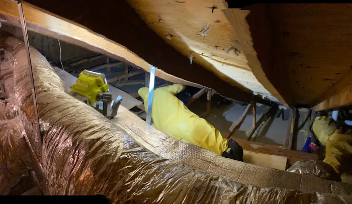 PuroClean of Natick Picture 7