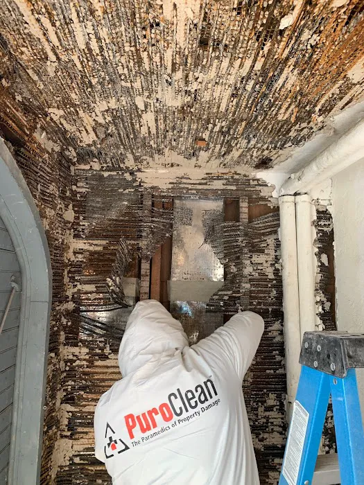 PuroClean of Natick Picture 8