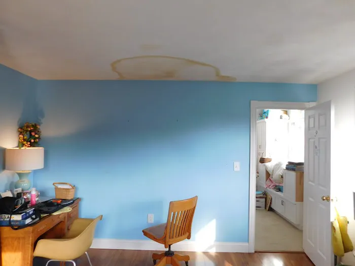 Master Clean Picture 5