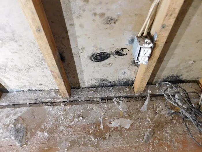 Master Clean Picture 6