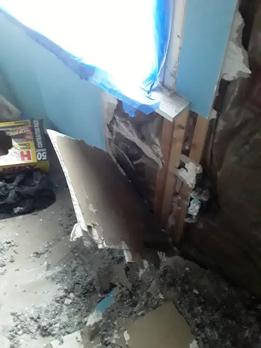 Master Clean Picture 9