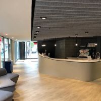 Northeast Painter and Construction ico