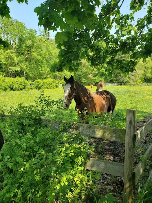 Environmental Resources & Services Picture 3