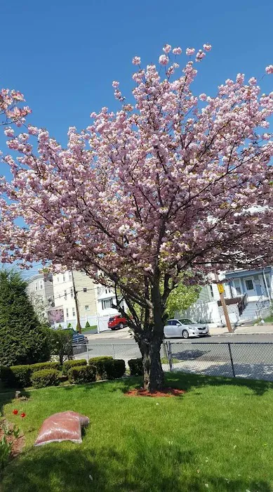 Environmental Resources & Services Picture 6