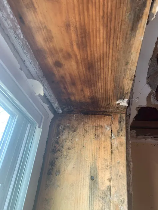 Mass Pro Solutions Picture 4