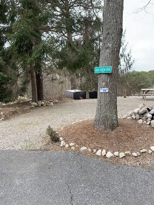 D.R. Services Of Eastern MA , The Rug Resort II Picture 10