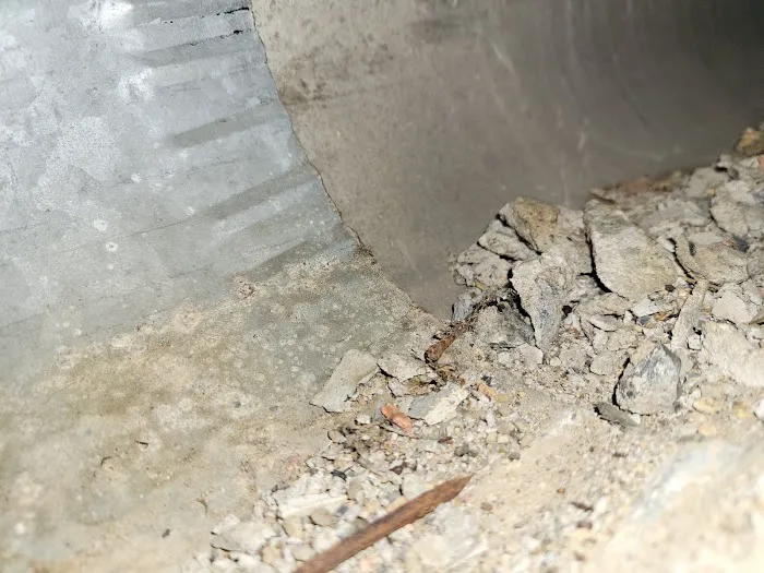 Moldguys Restoration Picture 3