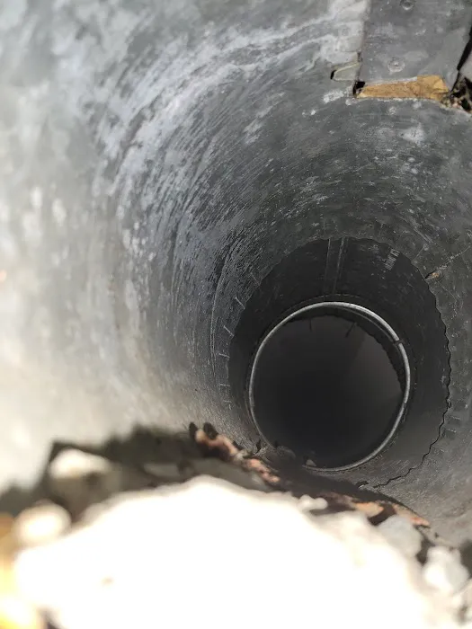 Moldguys Restoration Picture 4