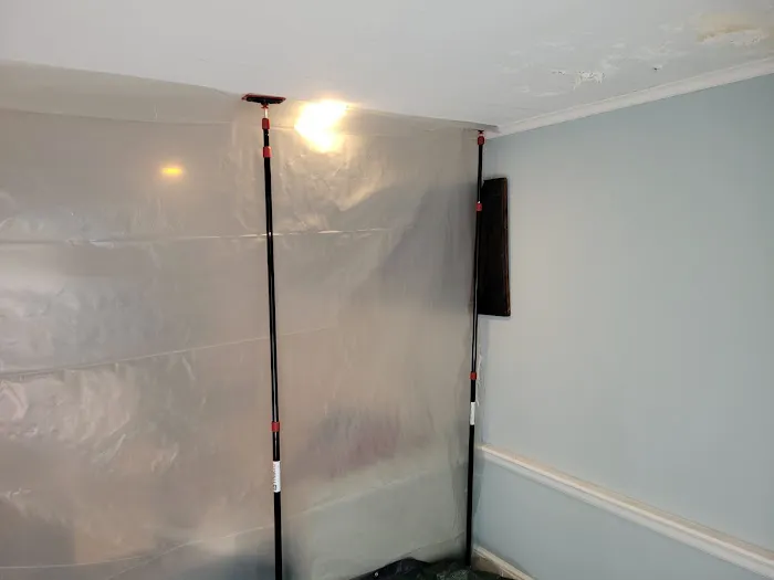 Moldguys Restoration Picture 7