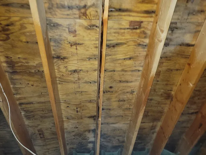 Moldguys Restoration Picture 6