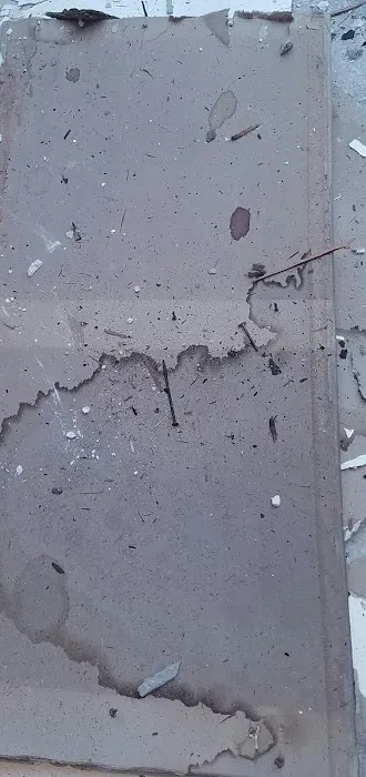 Moldguys Restoration Picture 9