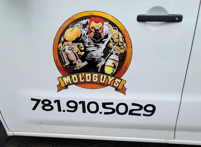 Moldguys Restoration Picture 10