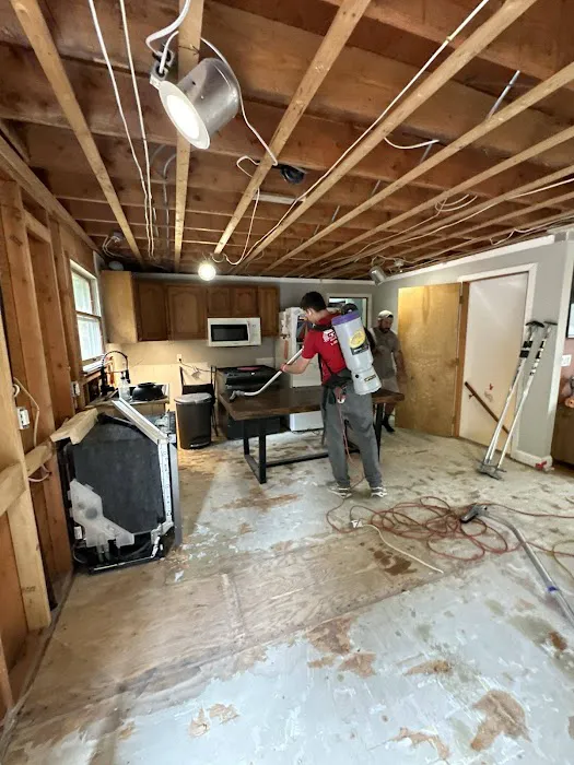 Flood Fire Pro Picture 2