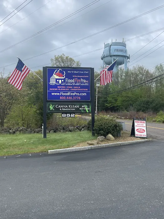 Flood Fire Pro Picture 4