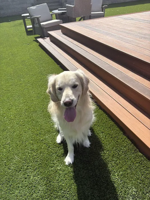 Super Service Today Picture 3