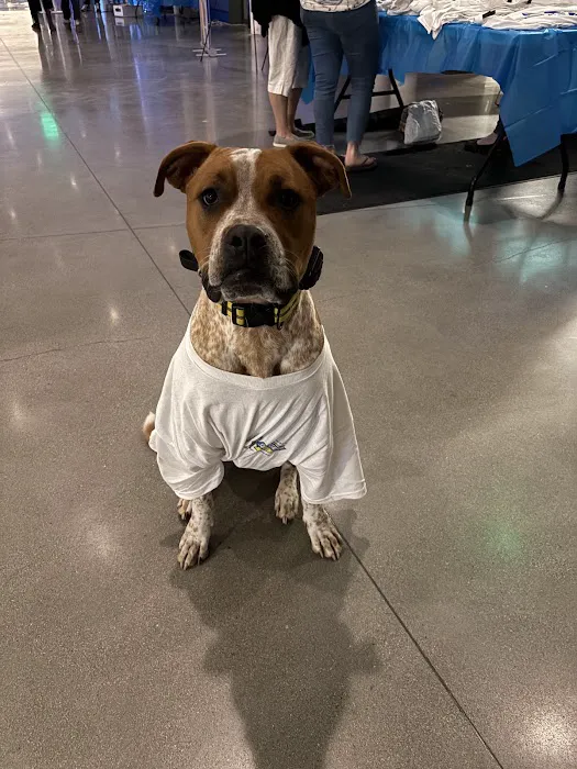 Super Service Today Picture 7