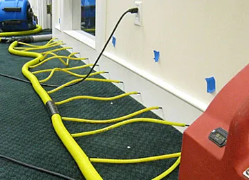 AAA Drying Picture 2