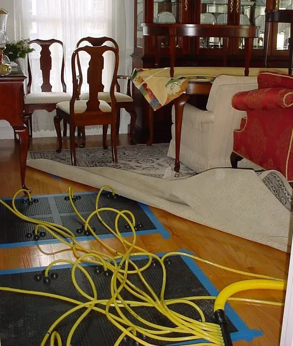 AAA Drying Picture 3