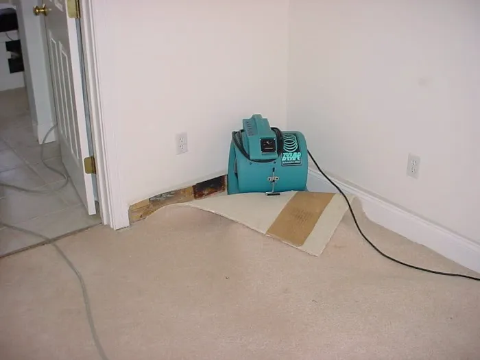 AAA Drying Picture 8