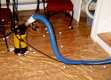 AAA Drying Picture 10