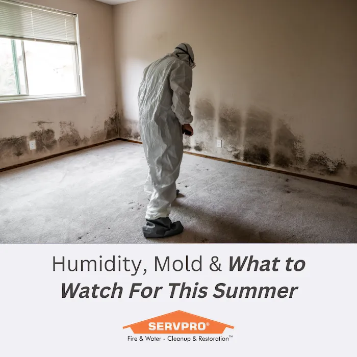 SERVPRO of Newton/Wellesley Picture 2