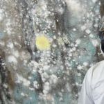 A1 Water & Mold Removal MA