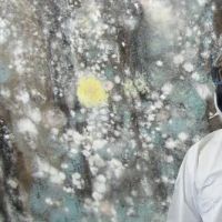 A1 Water & Mold Removal MA ico