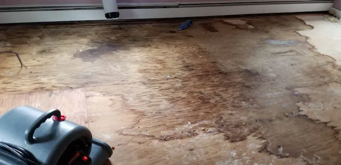 24 Restore Picture 7