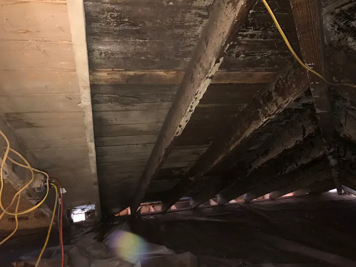 SMS Indoor Environmental Cleaning Inc. Picture 2