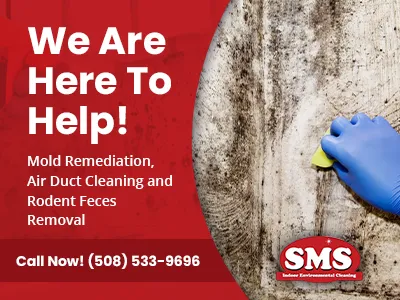 SMS Indoor Environmental Cleaning Inc. Picture 5