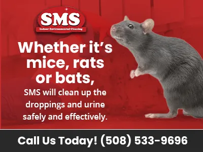 SMS Indoor Environmental Cleaning Inc. Picture 6