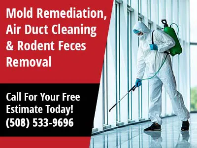 SMS Indoor Environmental Cleaning Inc. Picture 9