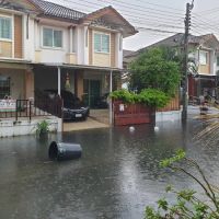 Restoration & Remediation Today ico