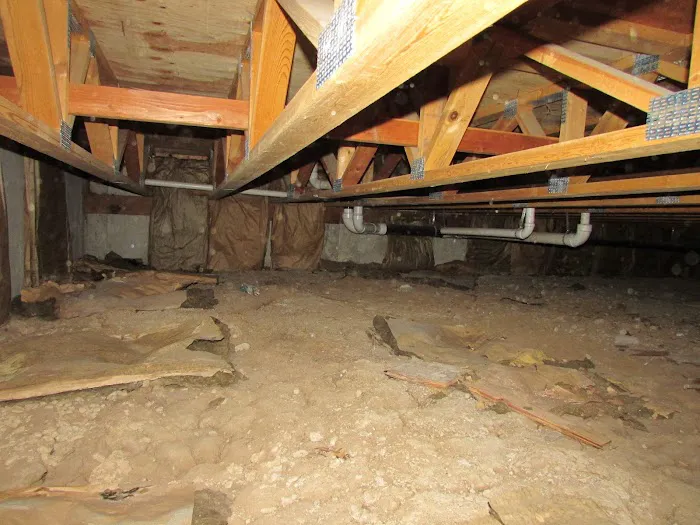 Next Level Picture 5