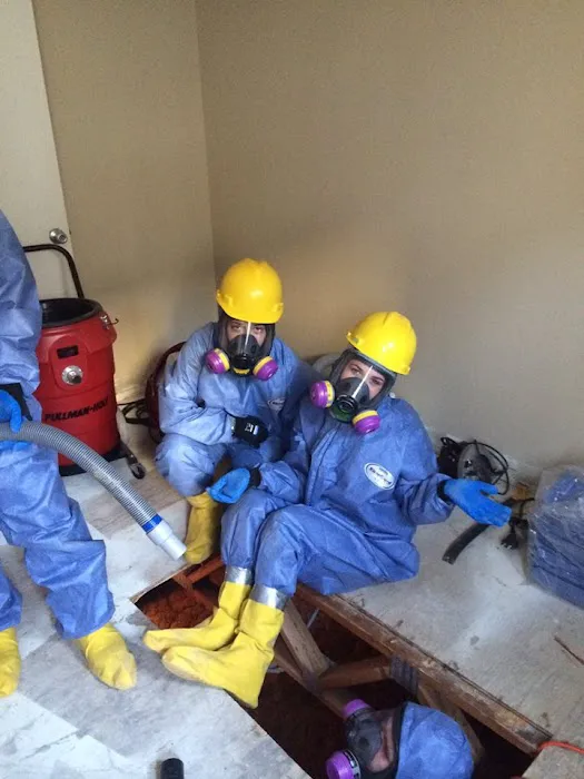 Next Level Picture 8