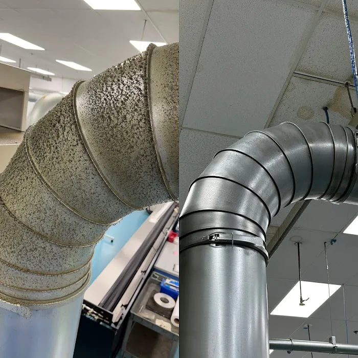 Next Level Picture 7