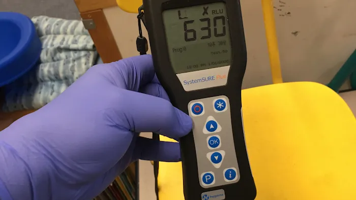 Next Level Picture 9