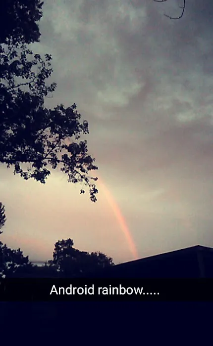 Absolute Services, Inc. Picture 3