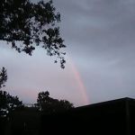 Absolute Services, Inc.