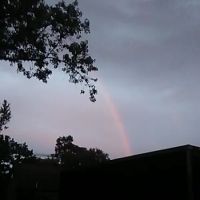 Absolute Services, Inc. ico