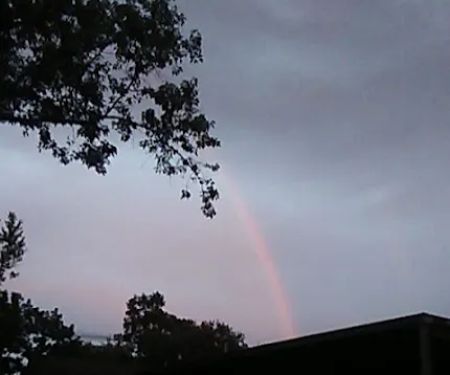 Absolute Services, Inc.