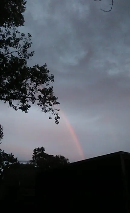 Absolute Services, Inc. Picture 4