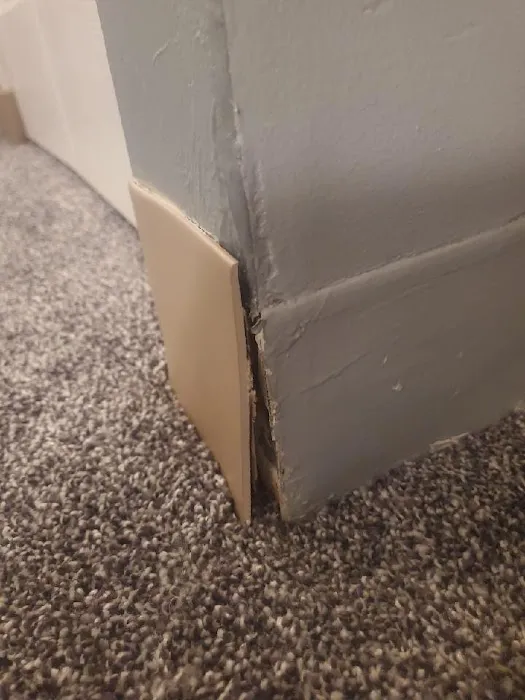 PRIME, LLC. Picture 4