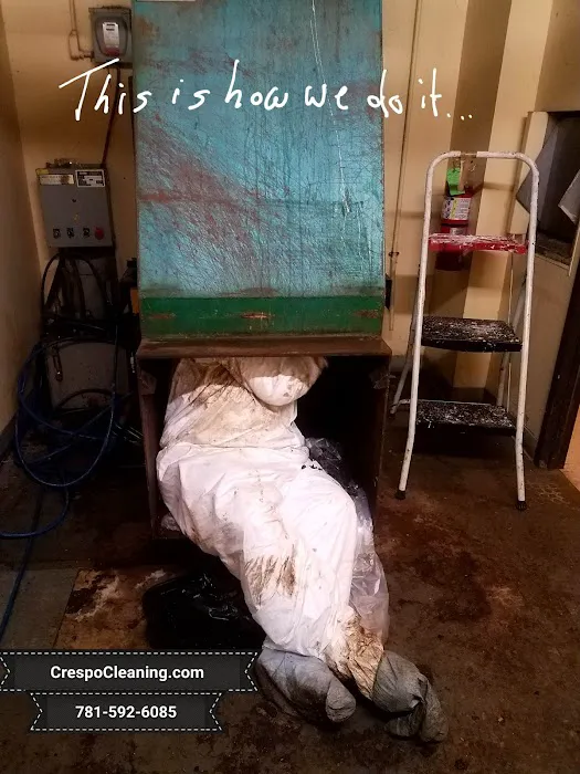 Crespo Cleaning and Restoration Picture 7