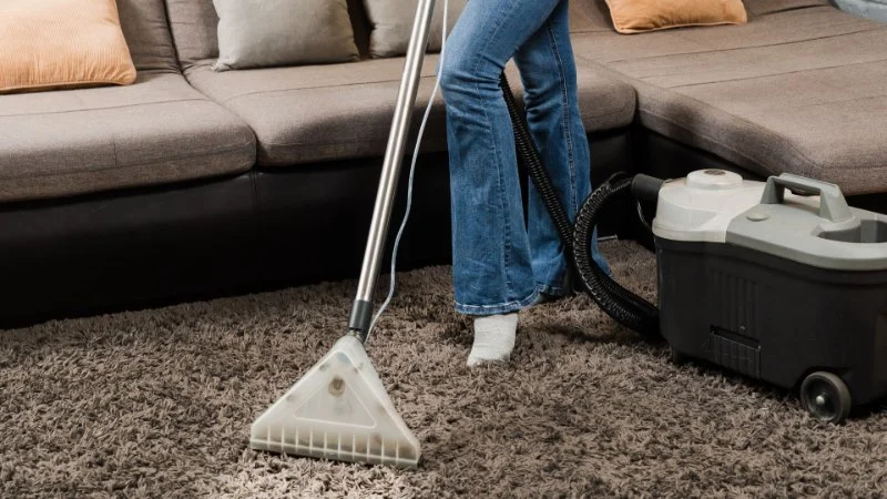 How to Dry a Wet Carpet Quickly After Water Damage: Expert Tips
