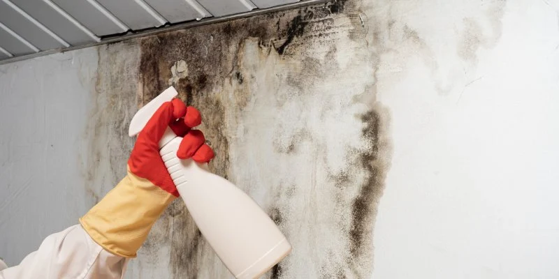 How to Handle Water Damage From Roof Leaks Effectively