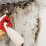 How to Handle Water Damage From Roof Leaks Effectively