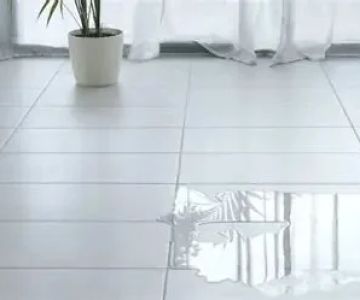 Why It’s Important to Address Water Damage Immediately: Protect Your Home